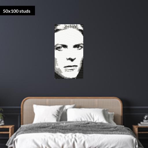 50*100studs, 40*80cm, 15.75*31.5inch