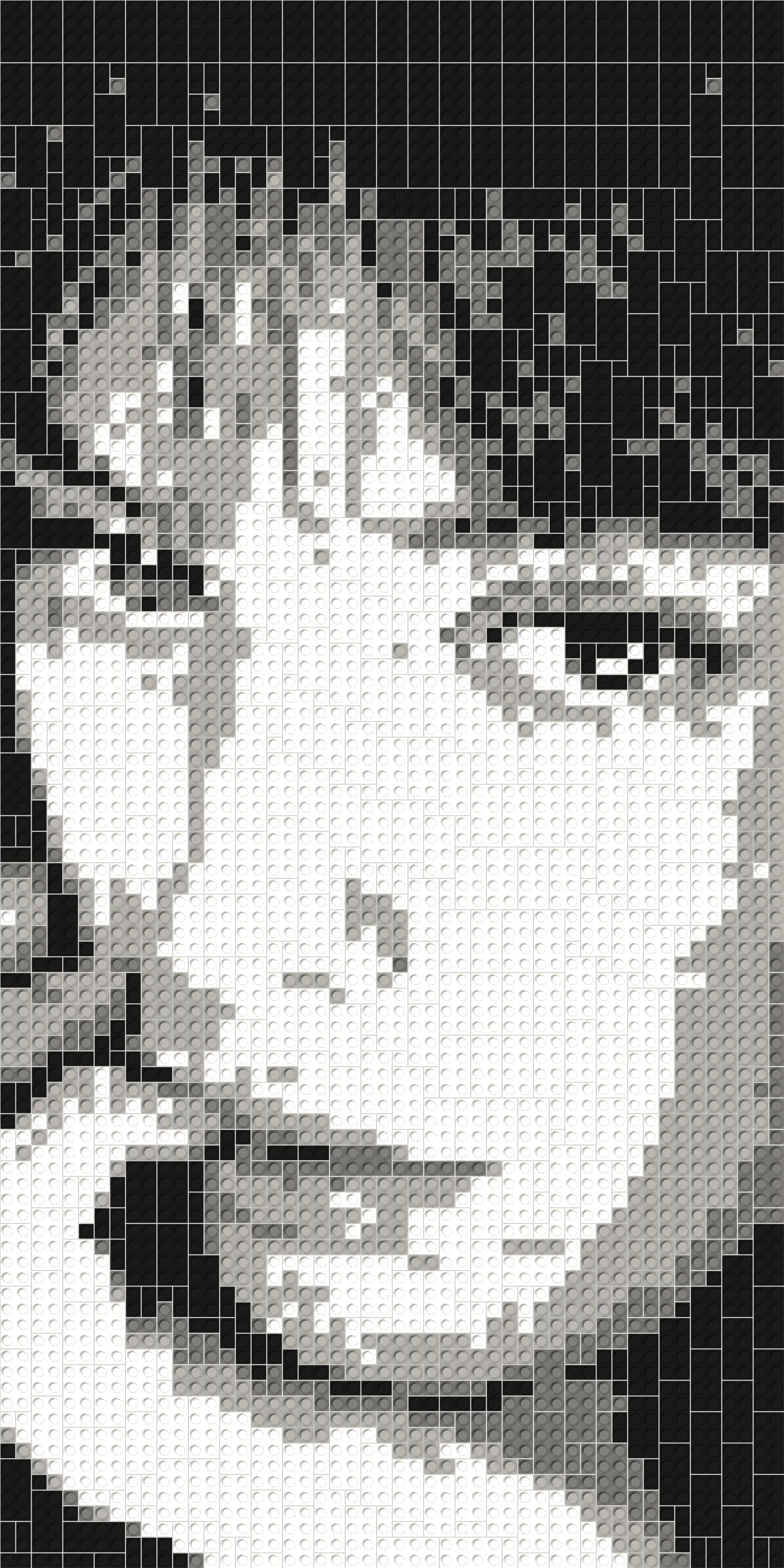 50*100studs, 40*80cm, 15.75*31.5inch