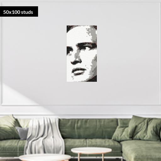 50*100studs, 40*80cm, 15.75*31.5inch