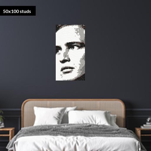 50*100studs, 40*80cm, 15.75*31.5inch