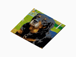 Custom Brick Mosaic