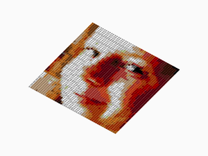 Custom Brick Mosaic