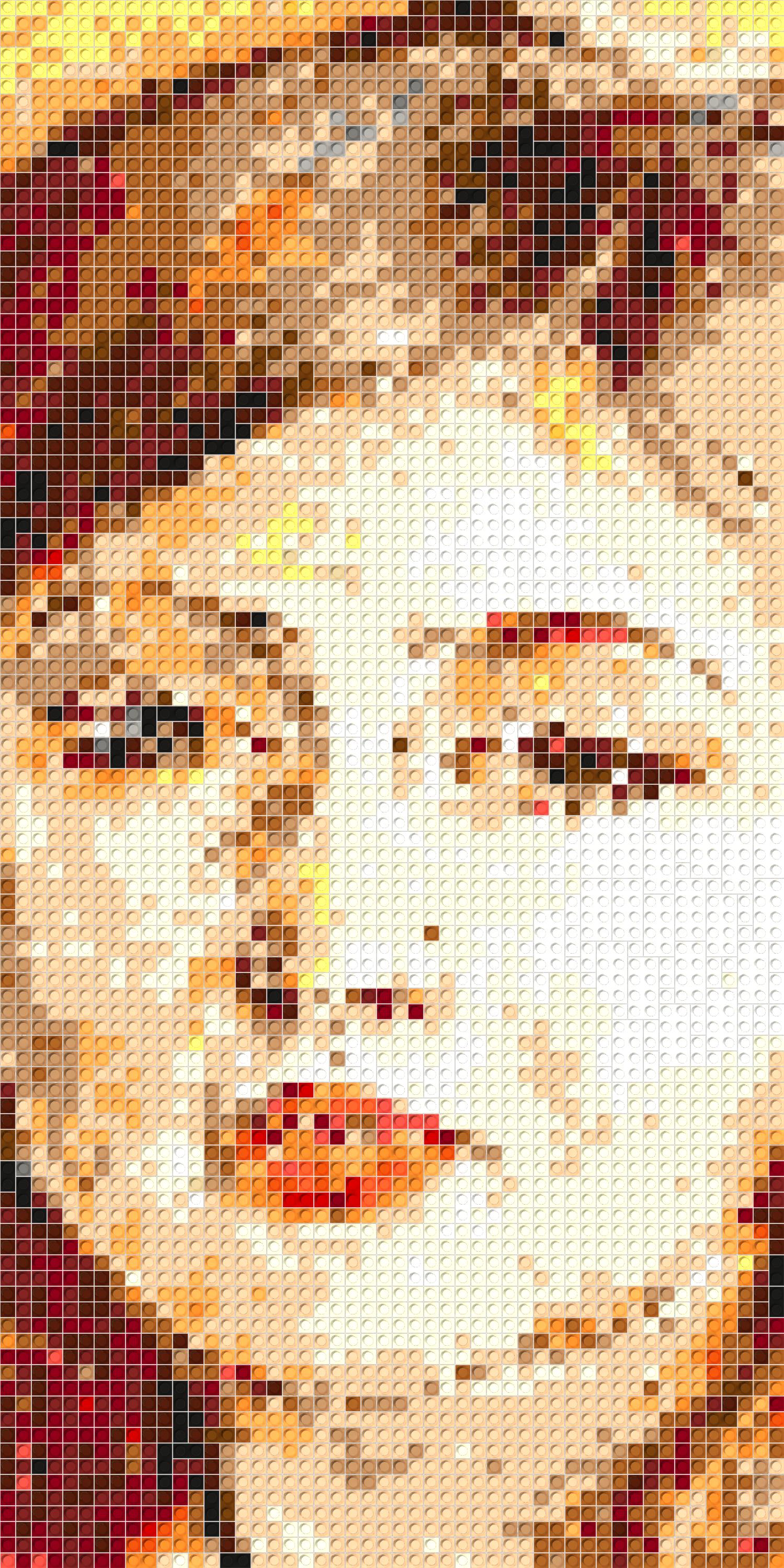 50*100studs, 40*80cm, 15.75*31.5inch