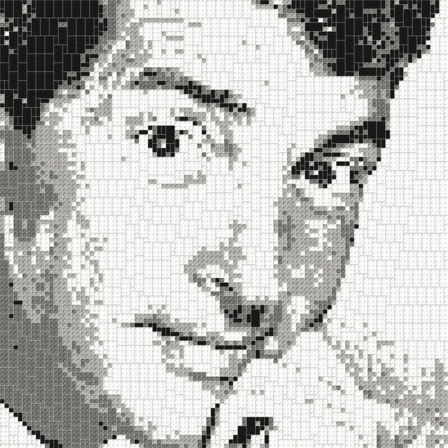 100*100studs, 80*80cm, 31.5*31.5inch