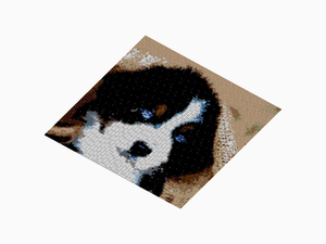 Custom Brick Mosaic