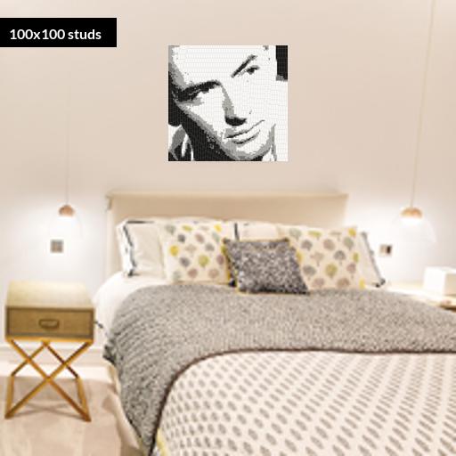 100*100studs, 80*80cm, 31.5*31.5inch