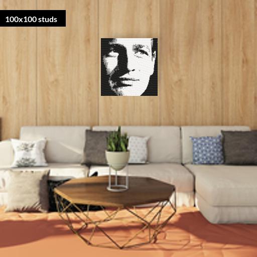100*100studs, 80*80cm, 31.5*31.5inch