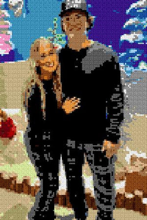 Custom Brick Mosaic