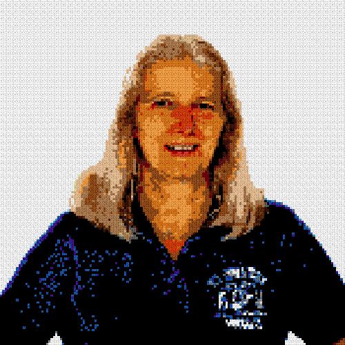 Custom Brick Mosaic