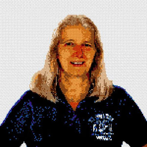 Custom Brick Mosaic