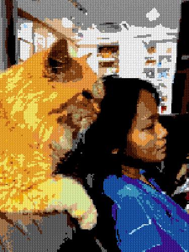 Custom Brick Mosaic