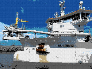 Custom Brick Mosaic