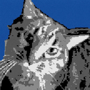Custom Brick Mosaic
