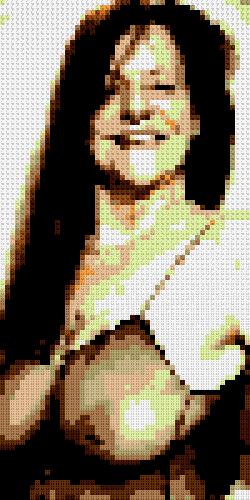 Custom Brick Mosaic