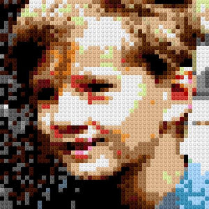 Custom Brick Mosaic