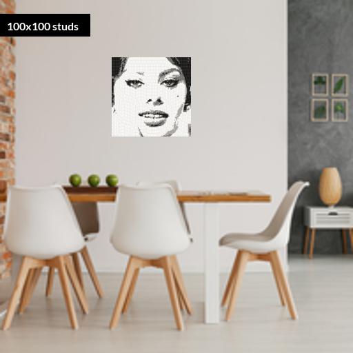 100*100studs, 80*80cm, 31.5*31.5inch