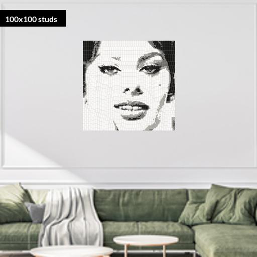 100*100studs, 80*80cm, 31.5*31.5inch